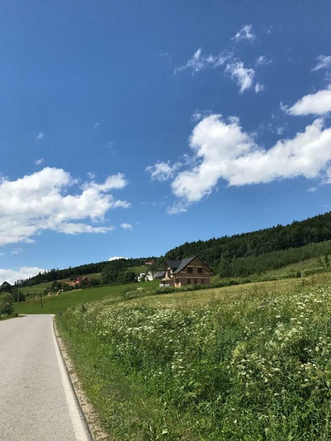 Malinowy Domek Mlynczyska Eksteriør billede