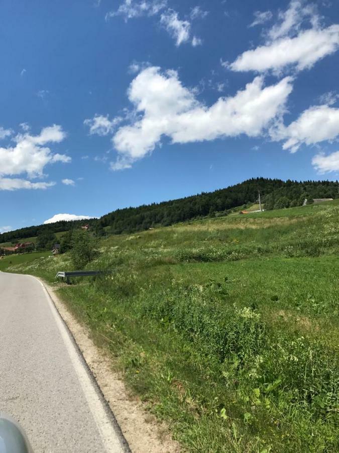 Malinowy Domek Mlynczyska Eksteriør billede