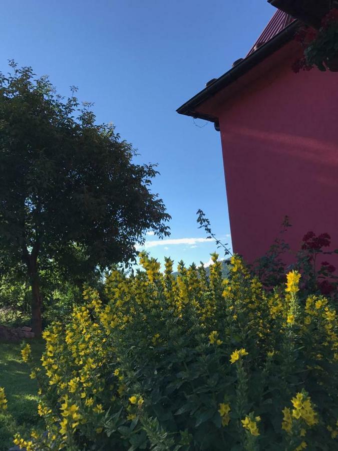 Malinowy Domek Mlynczyska Eksteriør billede