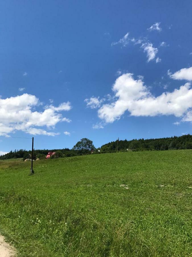 Malinowy Domek Mlynczyska Eksteriør billede