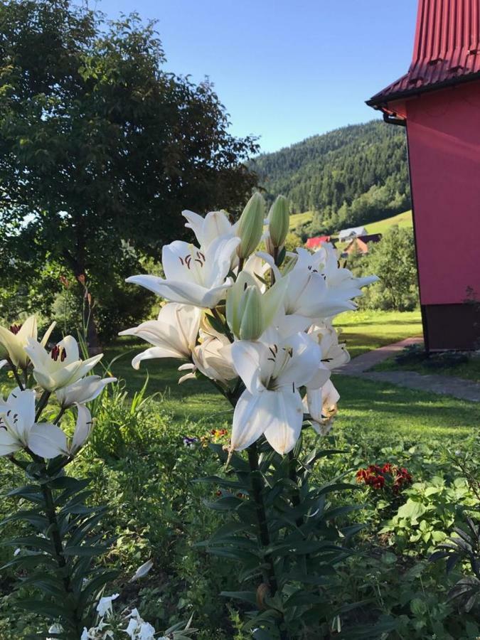 Malinowy Domek Mlynczyska Eksteriør billede